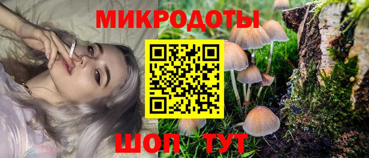 Псилоцибиновые грибы GOLDEN TEACHER Новоалександровск