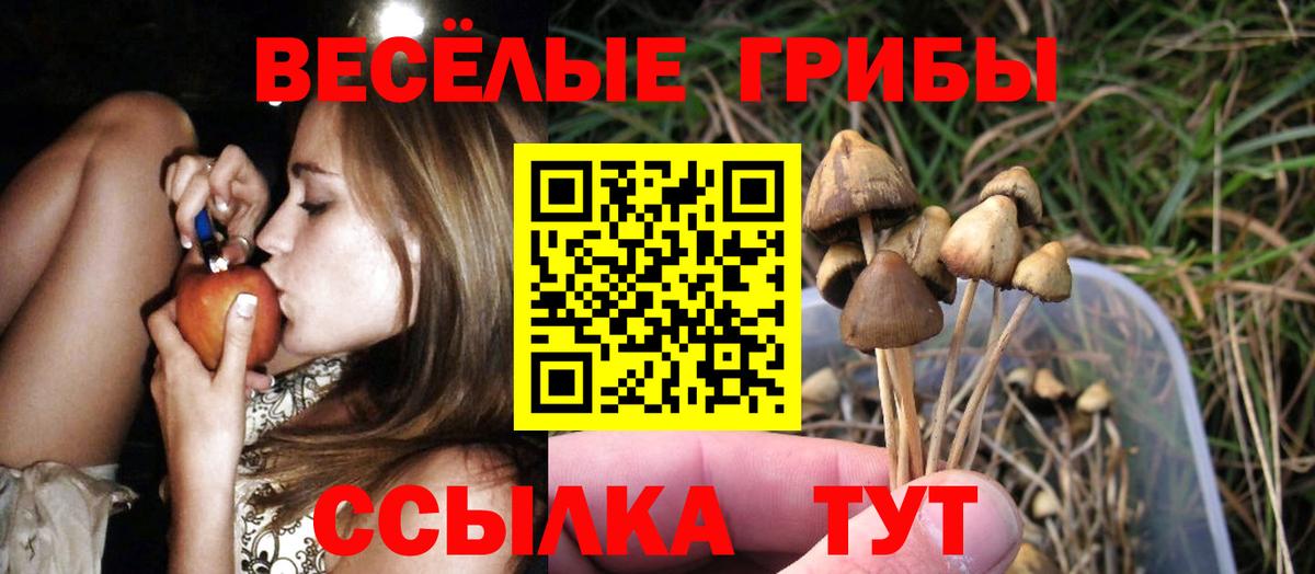 Новоалександровск  Псилоцибиновые грибы GOLDEN TEACHER  Галлюциногенные грибы Cubensis  Вход с VPN 